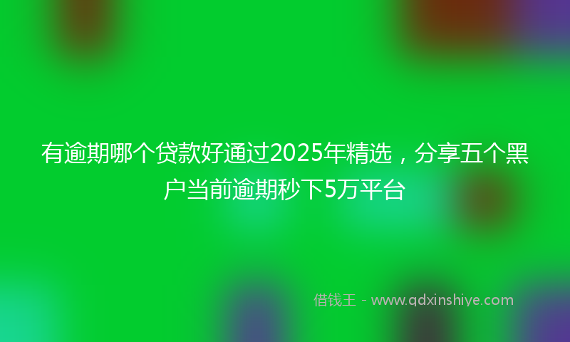 有逾期哪个贷款好通过2025年精选，分享五个黑户当前逾期秒下5万平台