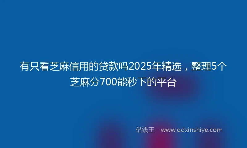 有只看芝麻信用的贷款吗2025年精选，整理5个芝麻分700能秒下的平台