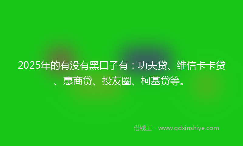 2025年的有没有黑口子有：功夫贷、维信卡卡贷、惠商贷、投友圈、柯基贷等。