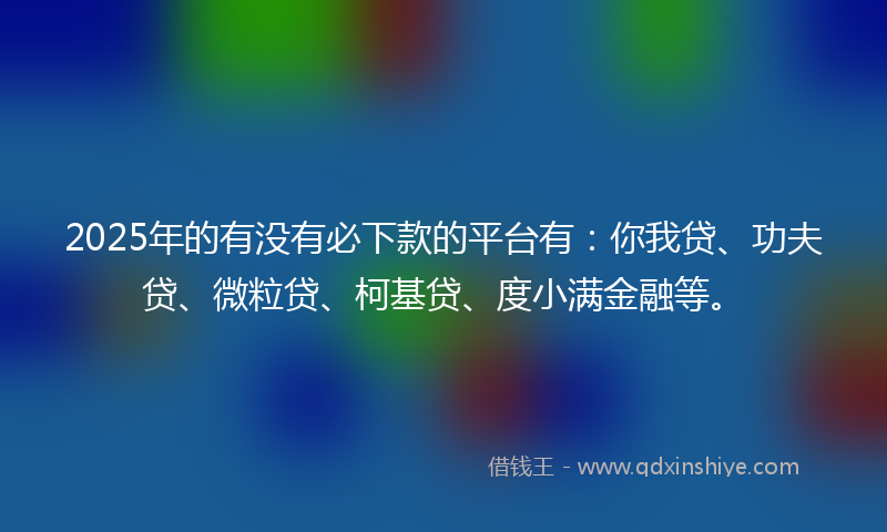 2025年的有没有必下款的平台有：你我贷、功夫贷、微粒贷、柯基贷、度小满金融等。