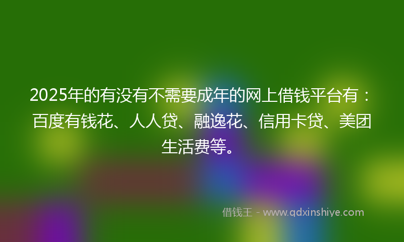 2025年的有没有不需要成年的网上借钱平台有：百度有钱花、人人贷、融逸花、信用卡贷、美团生活费等。