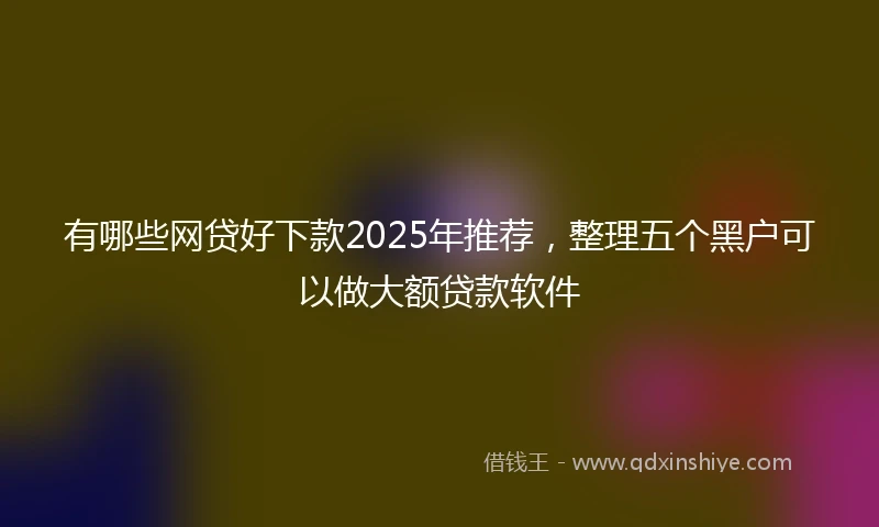 有哪些网贷好下款2025年推荐，整理五个黑户可以做大额贷款软件