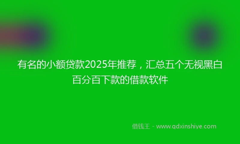 有名的小额贷款2025年推荐，汇总五个无视黑白百分百下款的借款软件