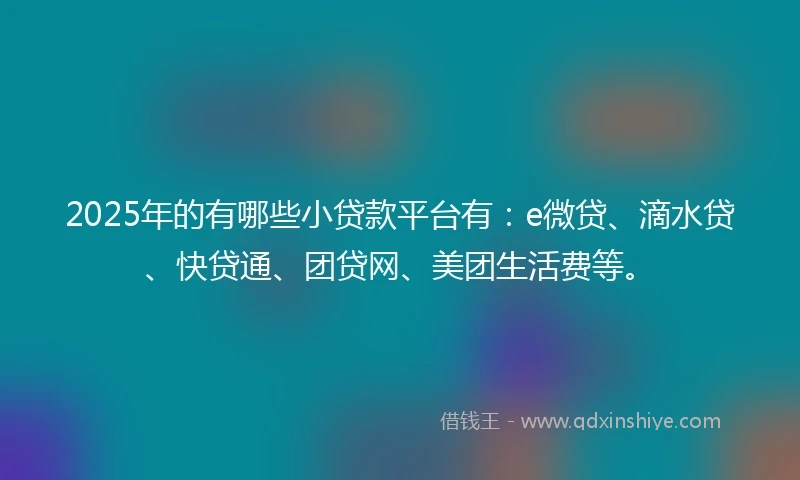 2025年的有哪些小贷款平台有：e微贷、滴水贷、快贷通、团贷网、美团生活费等。