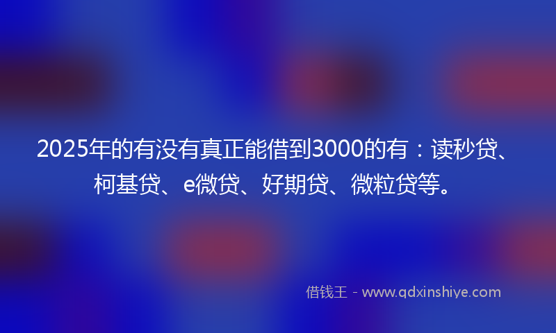 2025年的有没有真正能借到3000的有：读秒贷、柯基贷、e微贷、好期贷、微粒贷等。
