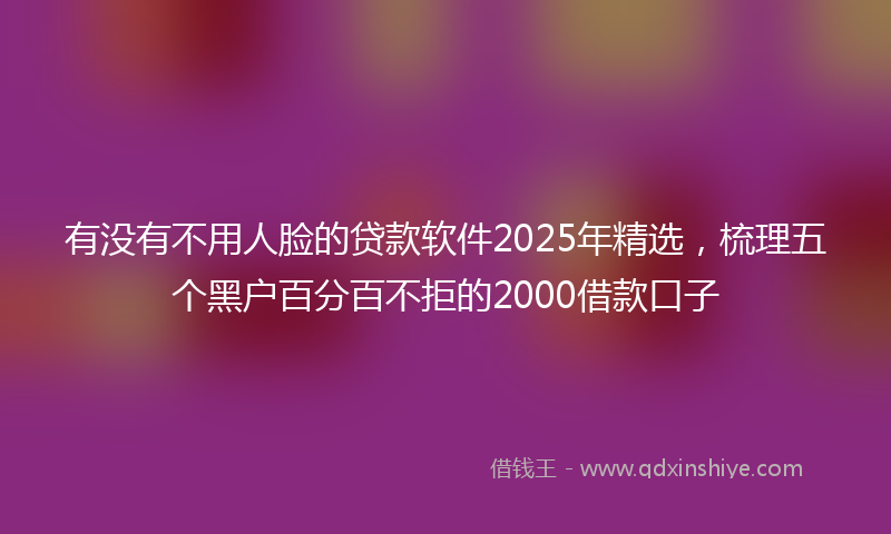 有没有不用人脸的贷款软件2025年精选，梳理五个黑户百分百不拒的2000借款口子
