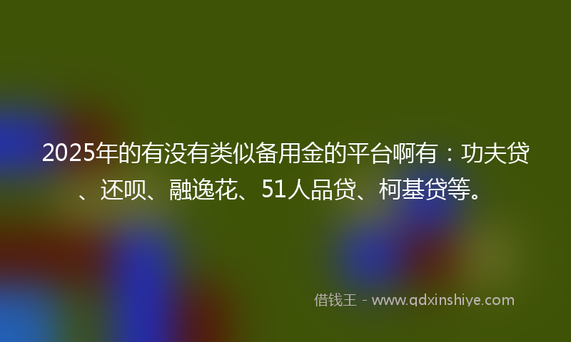 2025年的有没有类似备用金的平台啊有：功夫贷、还呗、融逸花、51人品贷、柯基贷等。
