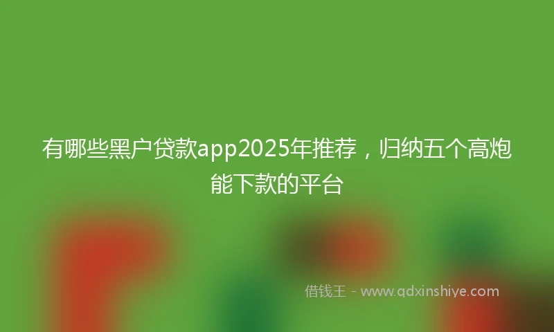 有哪些黑户贷款app2025年推荐，归纳五个高炮能下款的平台