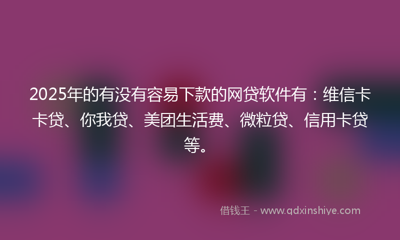2025年的有没有容易下款的网贷软件有：维信卡卡贷、你我贷、美团生活费、微粒贷、信用卡贷等。