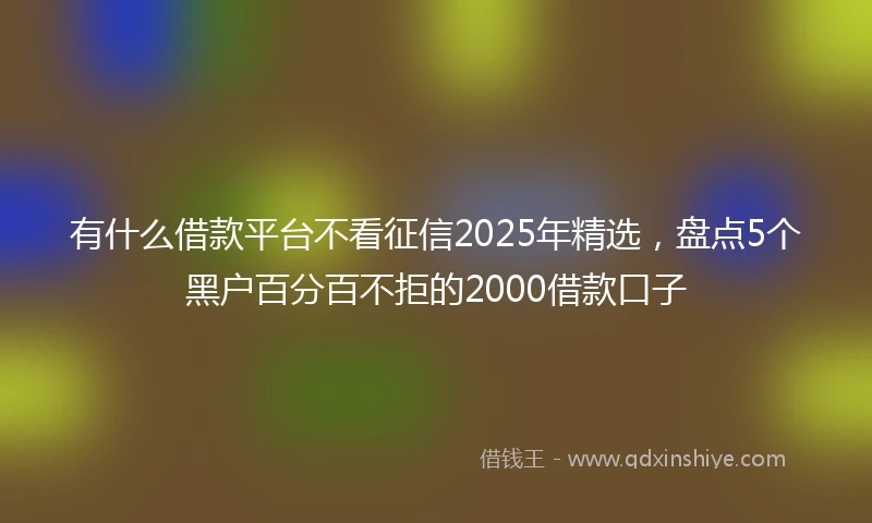 有什么借款平台不看征信2025年精选，盘点5个黑户百分百不拒的2000借款口子