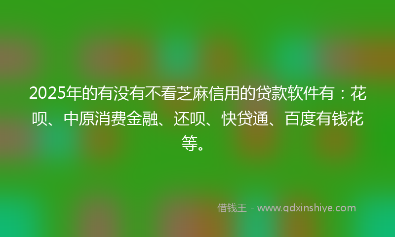 2025年的有没有不看芝麻信用的贷款软件有：花呗、中原消费金融、还呗、快贷通、百度有钱花等。