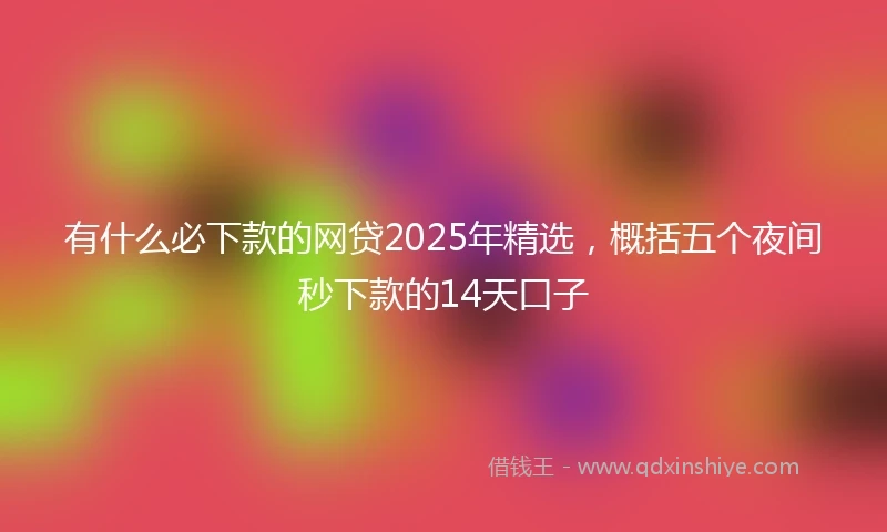 有什么必下款的网贷2025年精选，概括五个夜间秒下款的14天口子