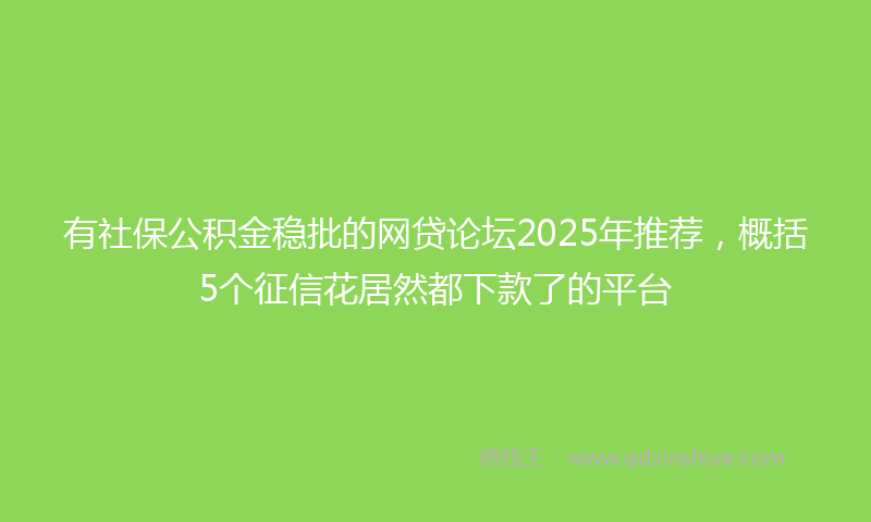 有社保公积金稳批的网贷论坛2025年推荐，概括5个征信花居然都下款了的平台
