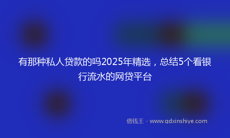 有那种私人贷款的吗2025年精选，总结5个看银行流水的网贷平台