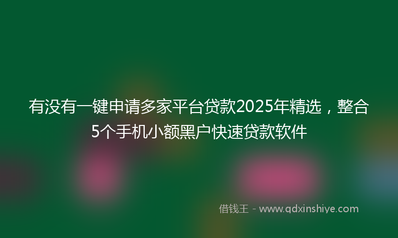 有没有一键申请多家平台贷款2025年精选，整合5个手机小额黑户快速贷款软件