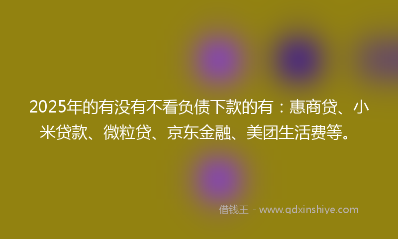 2025年的有没有不看负债下款的有：惠商贷、小米贷款、微粒贷、京东金融、美团生活费等。