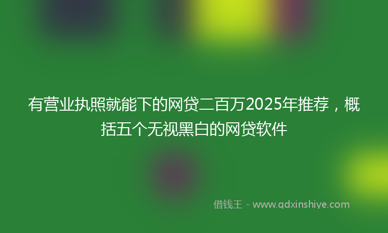 有营业执照就能下的网贷二百万2025年推荐，概括五个无视黑白的网贷软件