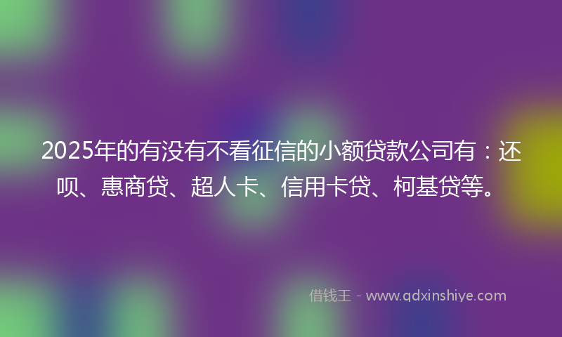 2025年的有没有不看征信的小额贷款公司有：还呗、惠商贷、超人卡、信用卡贷、柯基贷等。