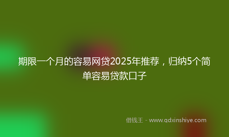 期限一个月的容易网贷2025年推荐，归纳5个简单容易贷款口子