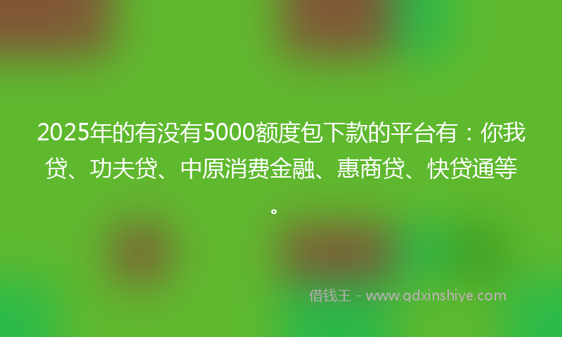 2025年的有没有5000额度包下款的平台有：你我贷、功夫贷、中原消费金融、惠商贷、快贷通等。