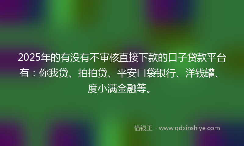 2025年的有没有不审核直接下款的口子贷款平台有：你我贷、拍拍贷、平安口袋银行、洋钱罐、度小满金融等。