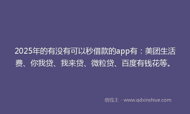 2025年的有没有可以秒借款的app有：美团生活费、你我贷、我来贷、微粒贷、百度有钱花等。