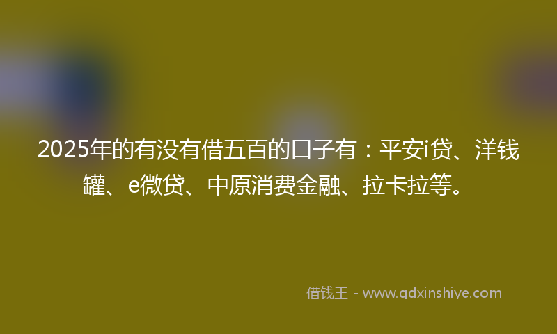 2025年的有没有借五百的口子有：平安i贷、洋钱罐、e微贷、中原消费金融、拉卡拉等。