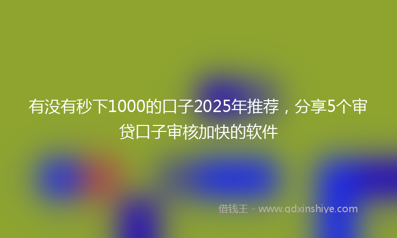 有没有秒下1000的口子2025年推荐，分享5个审贷口子审核加快的软件