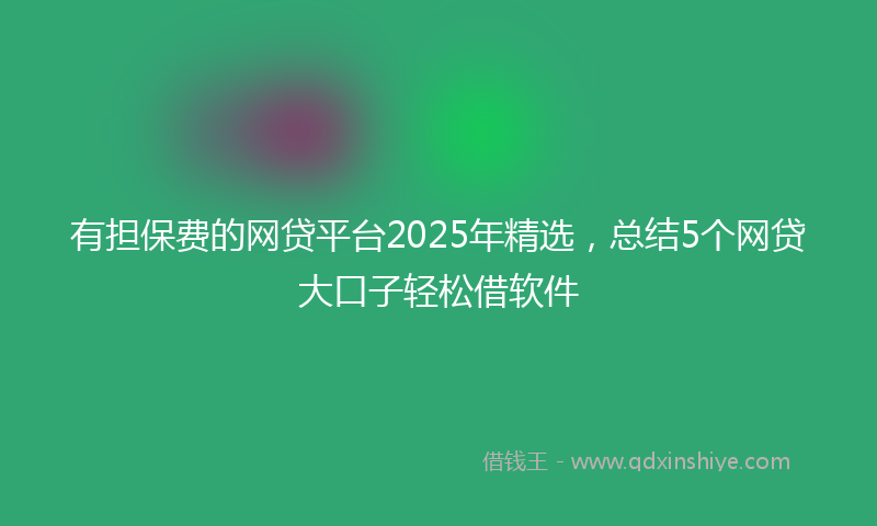 有担保费的网贷平台2025年精选，总结5个网贷大口子轻松借软件