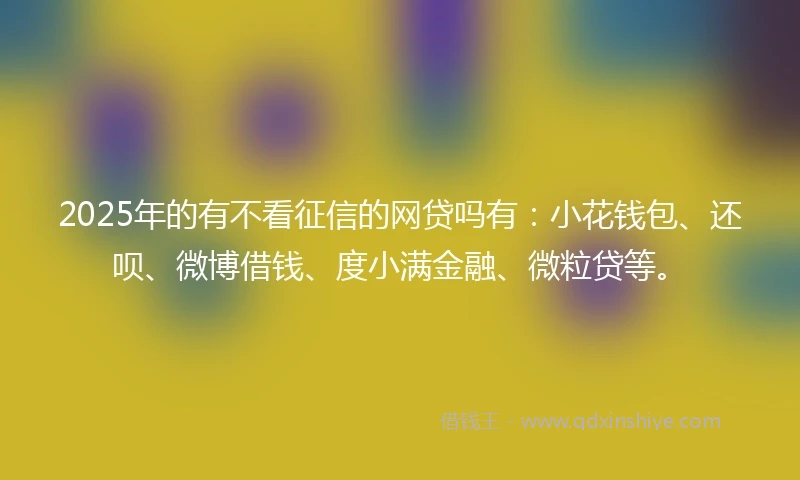 2025年的有不看征信的网贷吗有：小花钱包、还呗、微博借钱、度小满金融、微粒贷等。