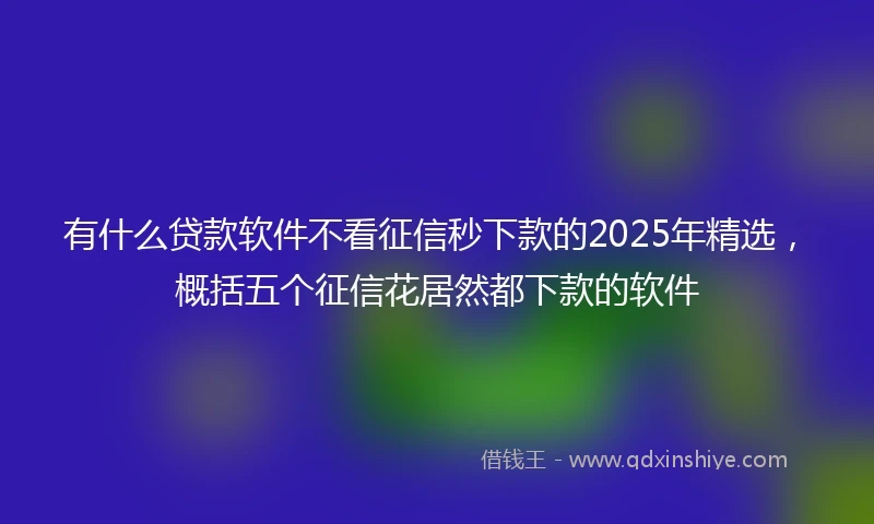有什么贷款软件不看征信秒下款的2025年精选，概括五个征信花居然都下款的软件