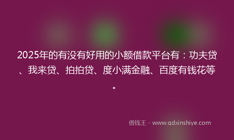 2025年的有没有好用的小额借款平台有：功夫贷、我来贷、拍拍贷、度小满金融、百度有钱花等。