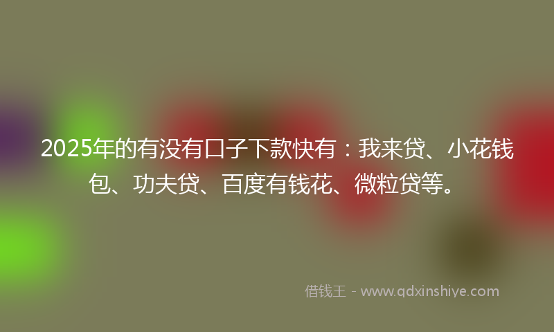 2025年的有没有口子下款快有：我来贷、小花钱包、功夫贷、百度有钱花、微粒贷等。