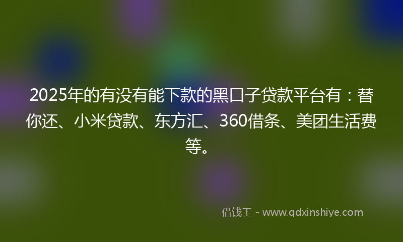 2025年的有没有能下款的黑口子贷款平台有：替你还、小米贷款、东方汇、360借条、美团生活费等。