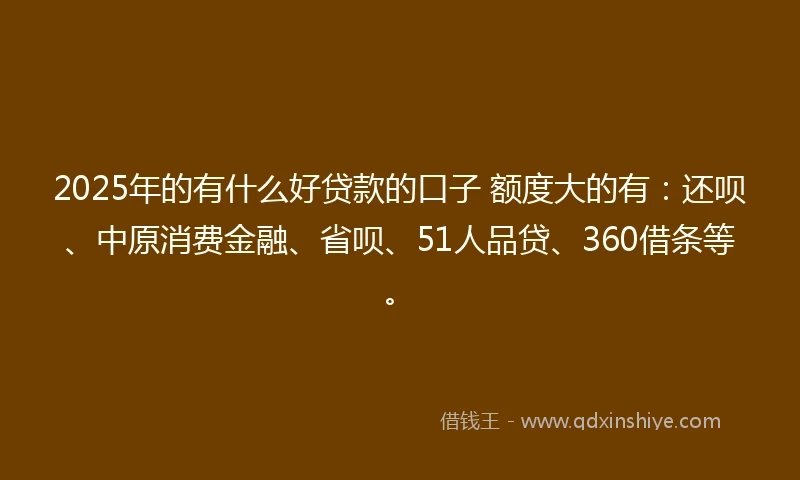 2025年的有什么好贷款的口子 额度大的有：还呗、中原消费金融、省呗、51人品贷、360借条等。