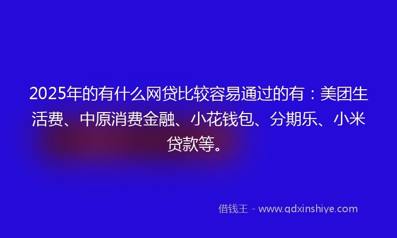 2025年的有什么网贷比较容易通过的有：美团生活费、中原消费金融、小花钱包、分期乐、小米贷款等。