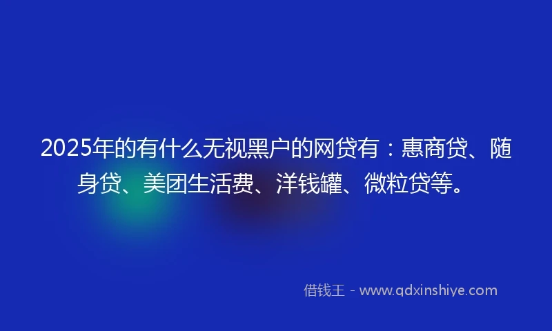 2025年的有什么无视黑户的网贷有：惠商贷、随身贷、美团生活费、洋钱罐、微粒贷等。