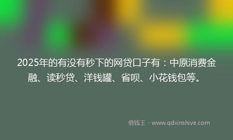 2025年的有没有秒下的网贷口子有：中原消费金融、读秒贷、洋钱罐、省呗、小花钱包等。