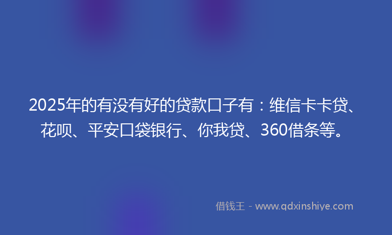 2025年的有没有好的贷款口子有：维信卡卡贷、花呗、平安口袋银行、你我贷、360借条等。