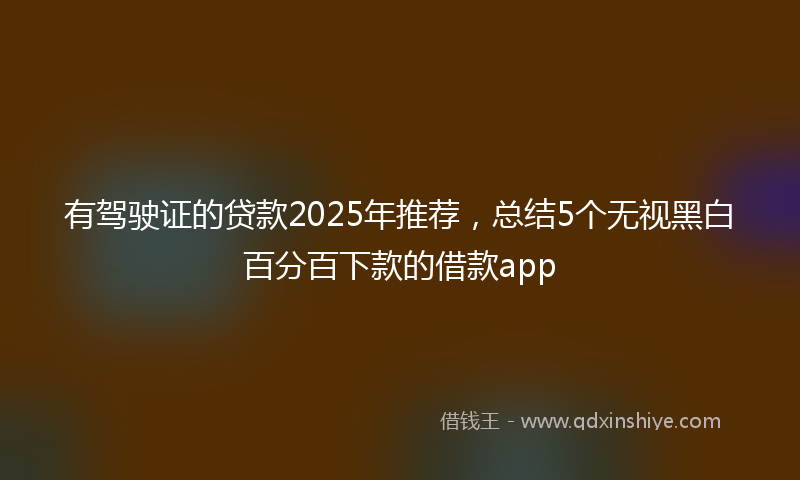 有驾驶证的贷款2025年推荐，总结5个无视黑白百分百下款的借款app