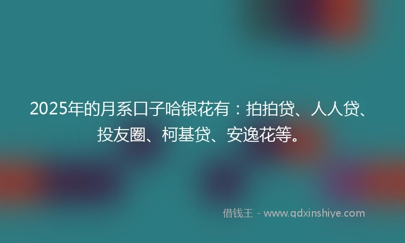 2025年的月系口子哈银花有：拍拍贷、人人贷、投友圈、柯基贷、安逸花等。
