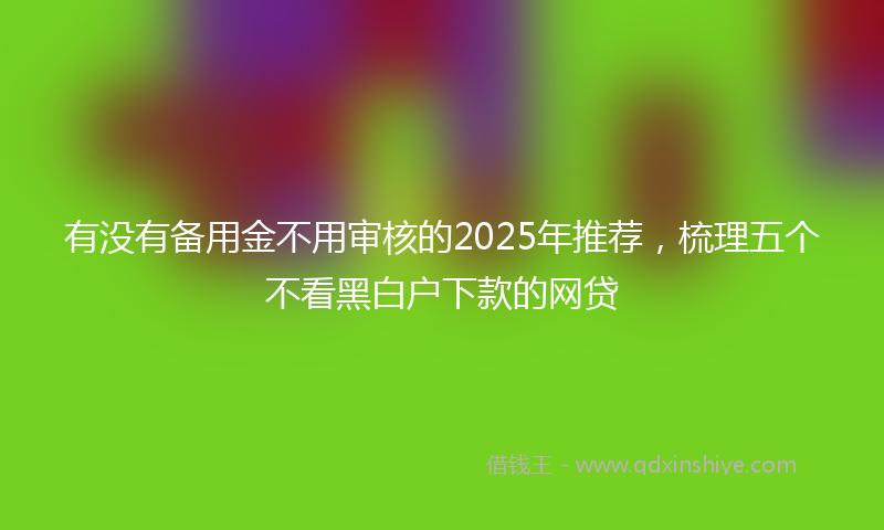 有没有备用金不用审核的2025年推荐，梳理五个不看黑白户下款的网贷