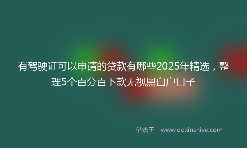有驾驶证可以申请的贷款有哪些2025年精选，整理5个百分百下款无视黑白户口子