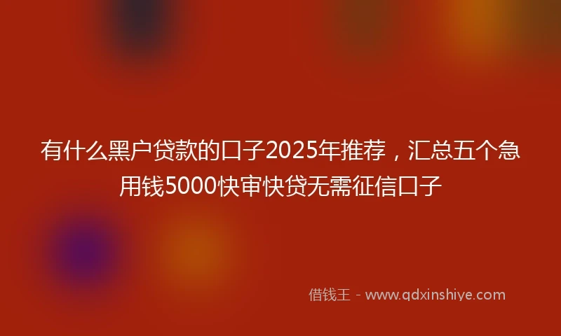 有什么黑户贷款的口子2025年推荐,汇总五个急用钱5000快审快贷无需征信口子