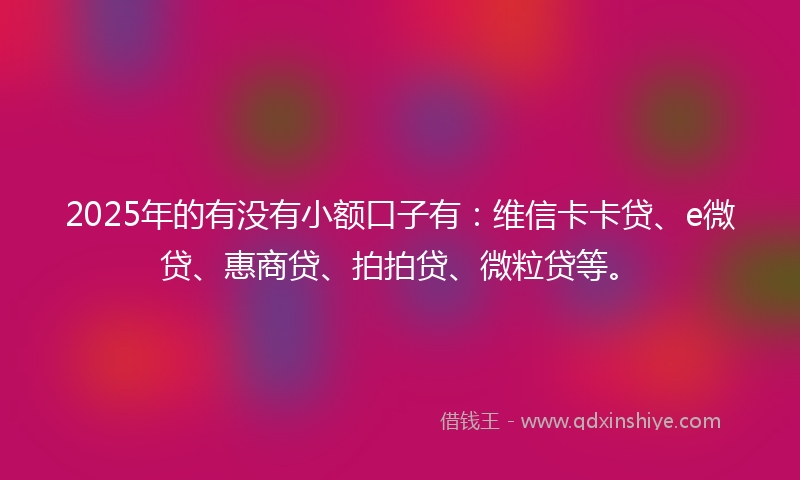 2025年的有没有小额口子有：维信卡卡贷、e微贷、惠商贷、拍拍贷、微粒贷等。