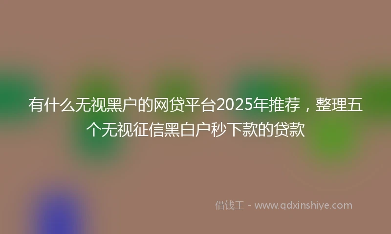 有什么无视黑户的网贷平台2025年推荐，整理五个无视征信黑白户秒下款的贷款