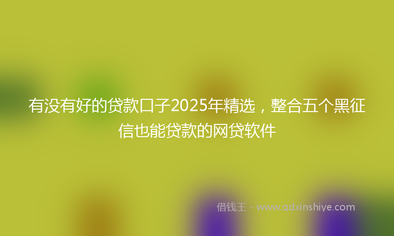 有没有好的贷款口子2025年精选，整合五个黑征信也能贷款的网贷软件