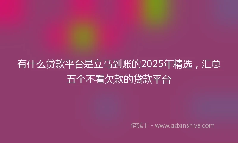有什么贷款平台是立马到账的2025年精选，汇总五个不看欠款的贷款平台