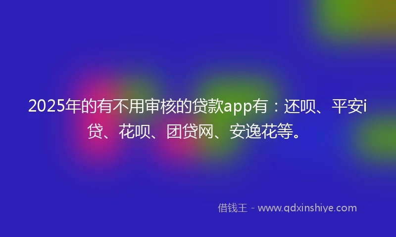 2025年的有不用审核的贷款app有：还呗、平安i贷、花呗、团贷网、安逸花等。