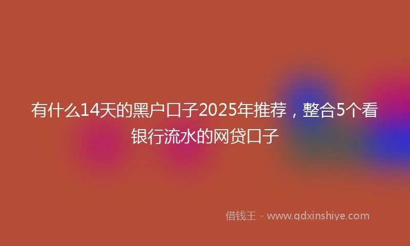 有什么14天的黑户口子2025年推荐，整合5个看银行流水的网贷口子